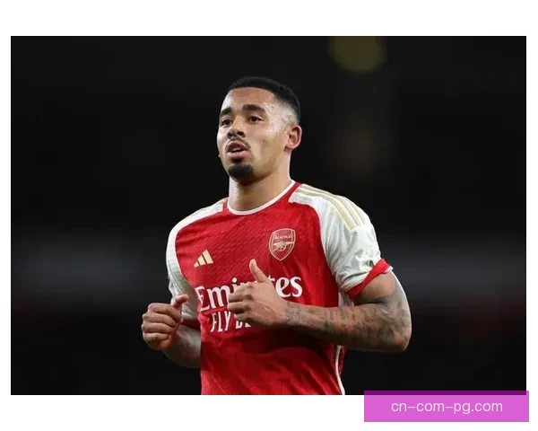 亚足联公布2024至2025赛季亚冠总奖金分配方案详细解读